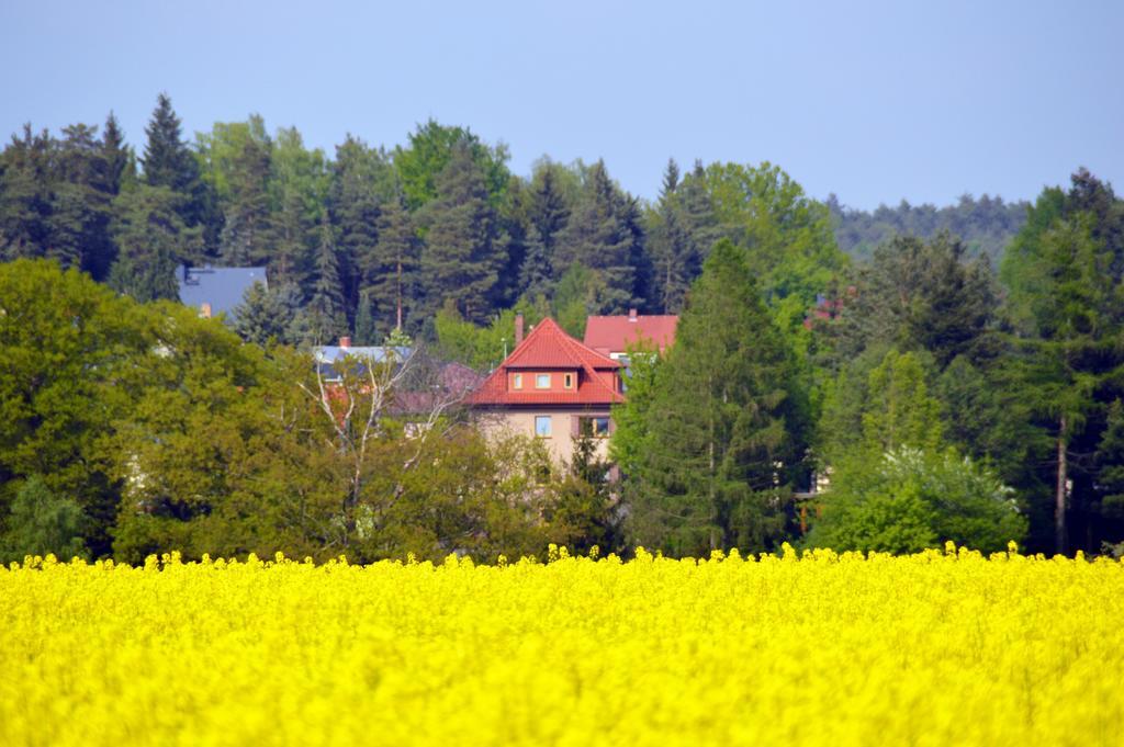 Ferienwohnung Deutschmann Dahlen 客房 照片