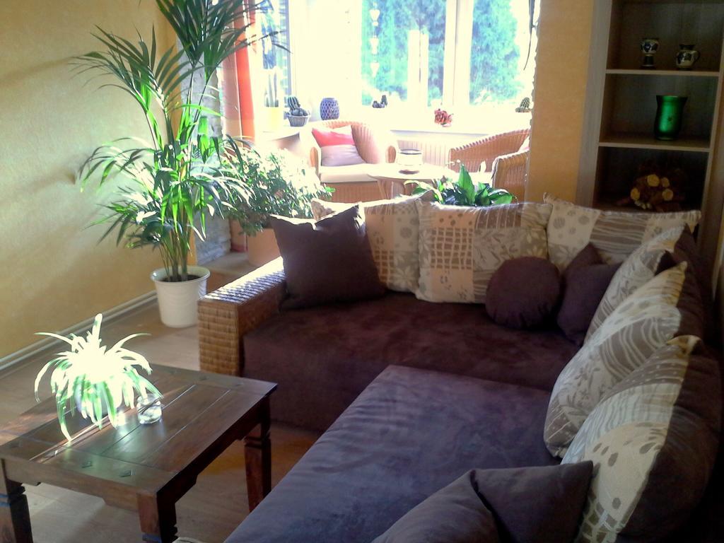 Ferienwohnung Deutschmann Dahlen 外观 照片